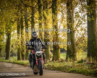 Herfstrit Moerzeke photo