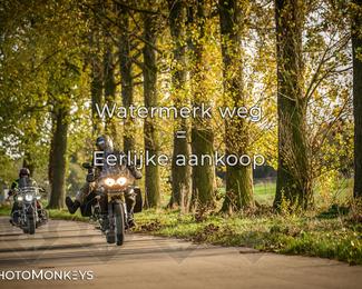 Herfstrit Moerzeke photo