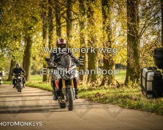 Herfstrit Moerzeke photo