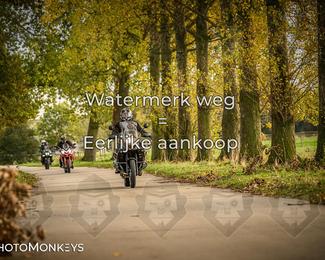 Herfstrit Moerzeke photo