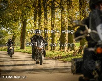 Herfstrit Moerzeke photo