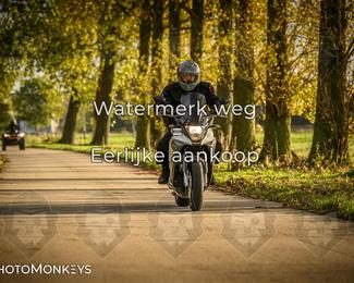 Herfstrit Moerzeke photo