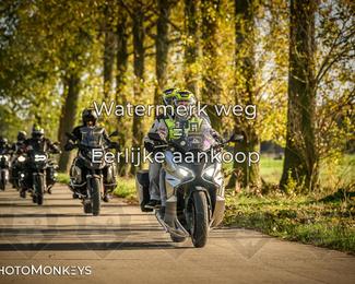 Herfstrit Moerzeke photo