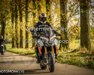 Herfstrit Moerzeke photo