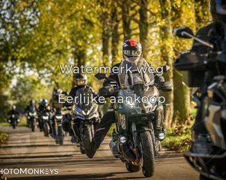 Herfstrit Moerzeke photo