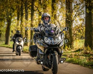 Herfstrit Moerzeke photo