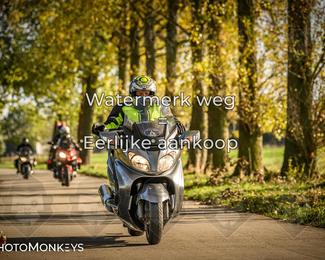 Herfstrit Moerzeke photo