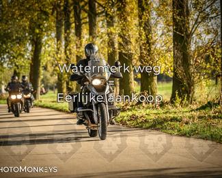 Herfstrit Moerzeke photo