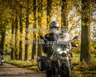 Herfstrit Moerzeke photo