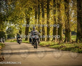 Herfstrit Moerzeke photo