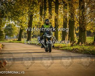 Herfstrit Moerzeke photo