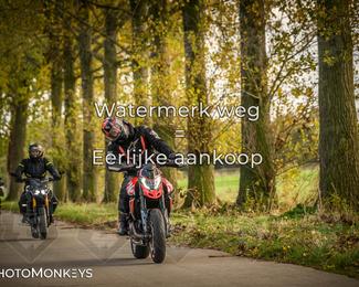 Herfstrit Moerzeke photo