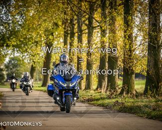 Herfstrit Moerzeke photo