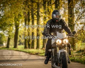 Herfstrit Moerzeke photo