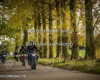 Herfstrit Moerzeke photo