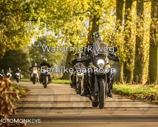 Herfstrit Moerzeke photo