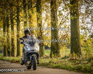 Herfstrit Moerzeke photo