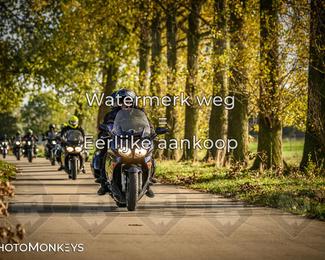 Herfstrit Moerzeke photo