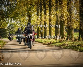 Herfstrit Moerzeke photo