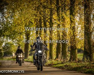 Herfstrit Moerzeke photo