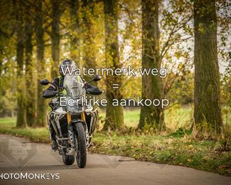 Herfstrit Moerzeke photo