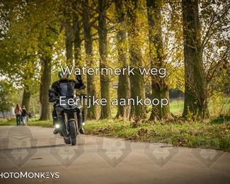 Herfstrit Moerzeke photo