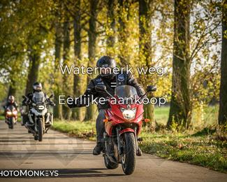 Herfstrit Moerzeke photo