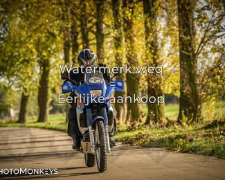 Herfstrit Moerzeke photo