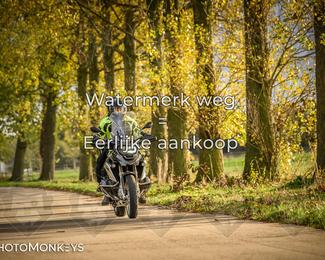 Herfstrit Moerzeke photo