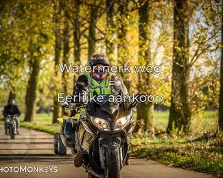 Herfstrit Moerzeke photo