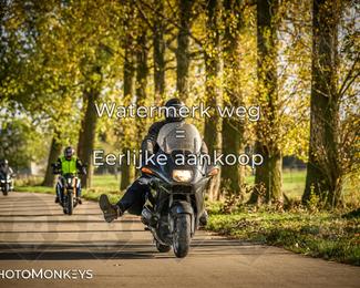 Herfstrit Moerzeke photo