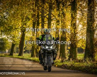 Herfstrit Moerzeke photo