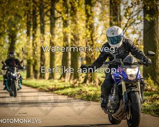 Herfstrit Moerzeke photo