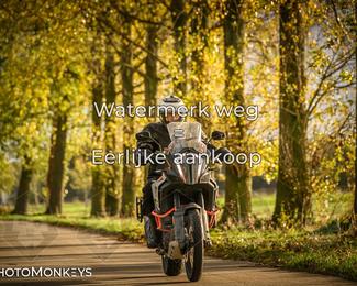 Herfstrit Moerzeke photo