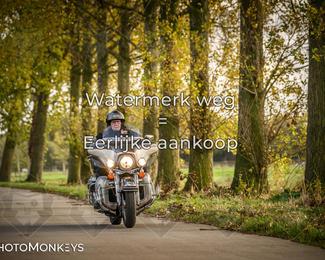 Herfstrit Moerzeke photo