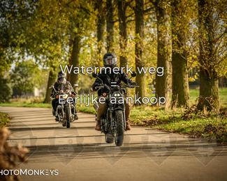 Herfstrit Moerzeke photo