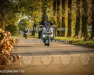 Herfstrit Moerzeke photo