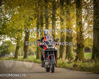 Herfstrit Moerzeke photo