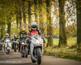 Herfstrit Moerzeke photo