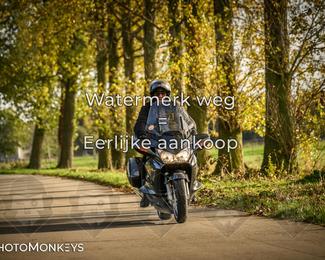 Herfstrit Moerzeke photo