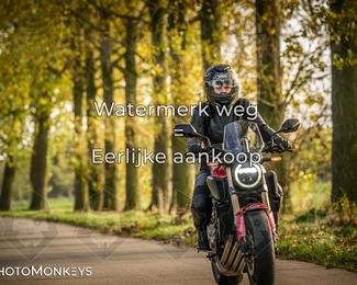 Herfstrit Moerzeke photo