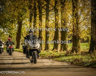 Herfstrit Moerzeke photo