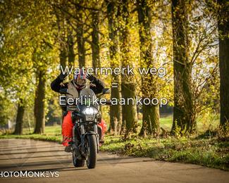 Herfstrit Moerzeke photo