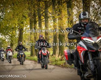 Herfstrit Moerzeke photo