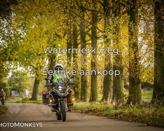 Herfstrit Moerzeke photo