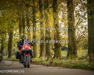 Herfstrit Moerzeke photo