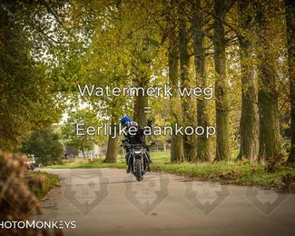 Herfstrit Moerzeke photo