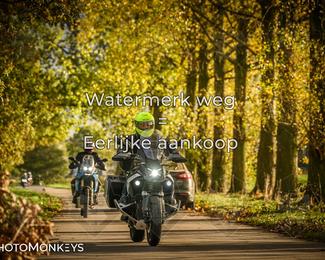 Herfstrit Moerzeke photo