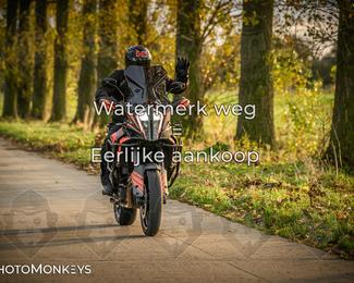 Herfstrit Moerzeke photo