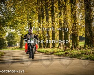 Herfstrit Moerzeke photo